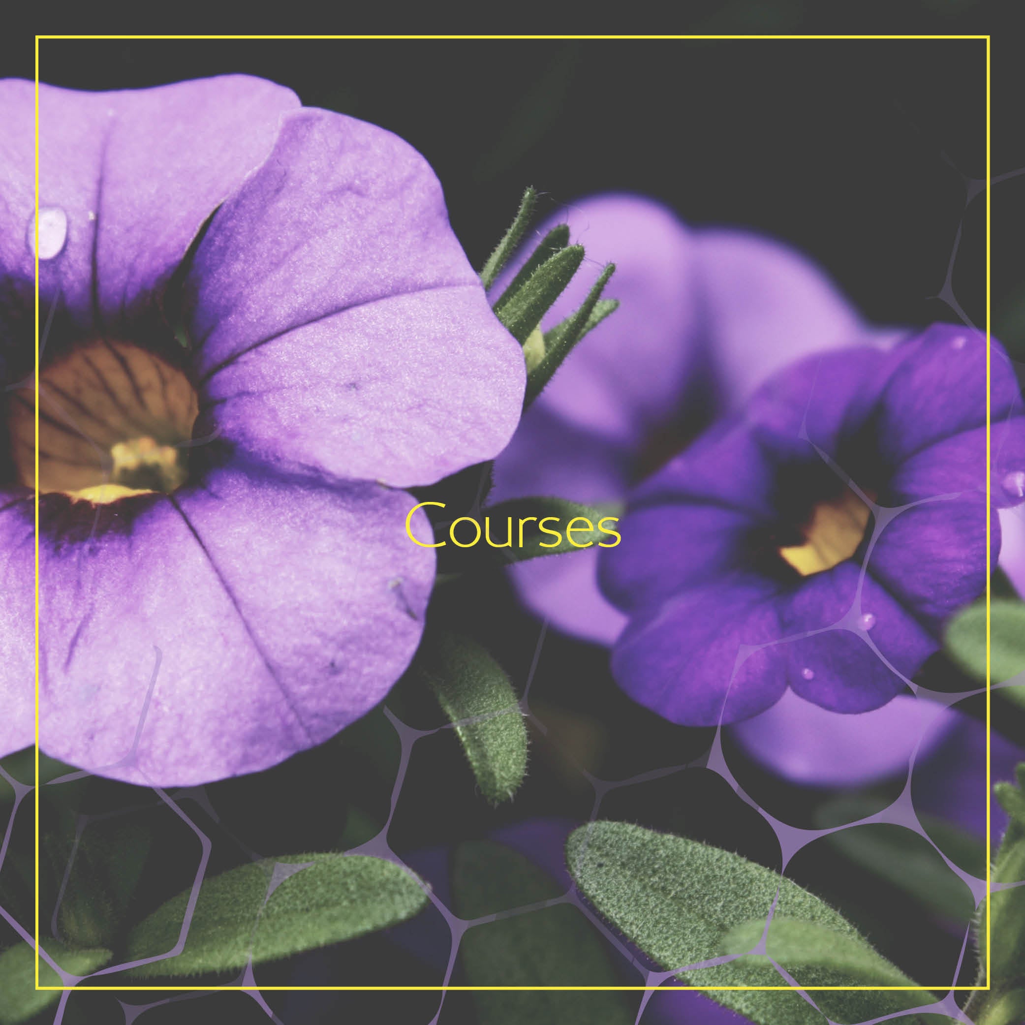 Courses Tiffani McQueen Creative